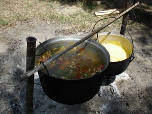 food